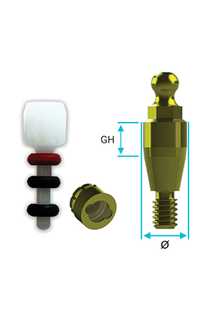 بال اباتمنت E- Ball Abutment & O-ring & Housing